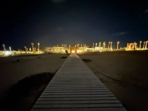 5881724796255538657 (1)